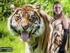 Sumatran Tiger - Tara Sena Basan (designed by Althea Harper / Calle Evans)